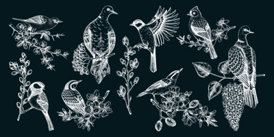 Spring garden background. Vintage seamless patter with birds, flowers, leaves and blooming tree branches. Hand drawn almond, willow, rowan, willow, cherry blossom floral sketches for prints or textile